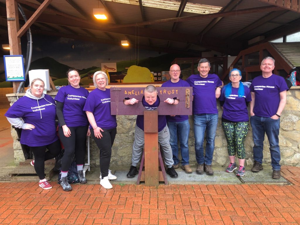 Volunteers in purple t-shirts from Companies House in front of stocks at Amelia Trust